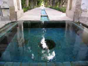 Bagh e finx