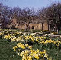 Bailiffscourt Hotel, West Sussex