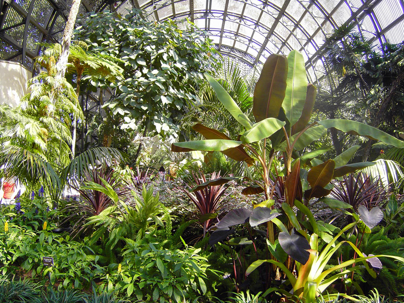 Botanical Building, Balboa Park