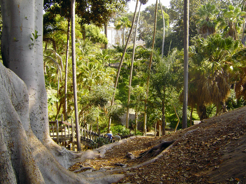 Palm Canyon, Balboa Park