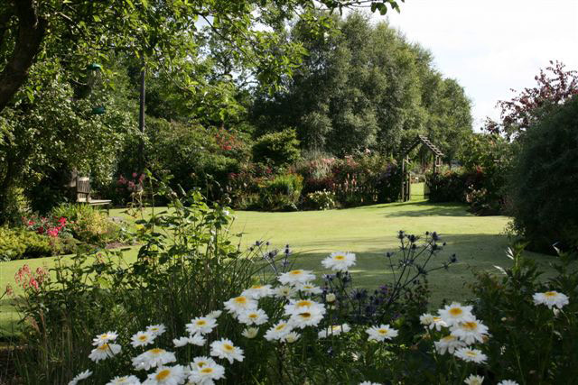 Ballyrobert Cottage Garden, Northern Ireland