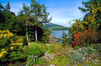 Balmacara garden nts