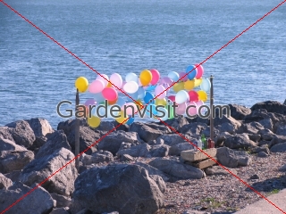 Baloon Shooting Turkey