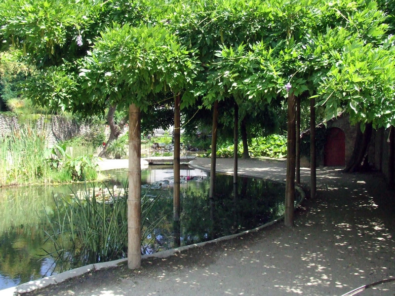 Bambouseraie de Prafrance Garden, 2007
