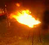 Garden Fire
