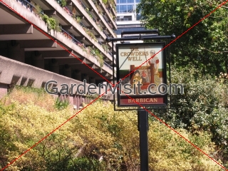 Barbican Pub