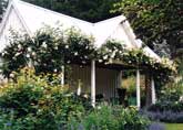 Barewood Garden, New Gard
