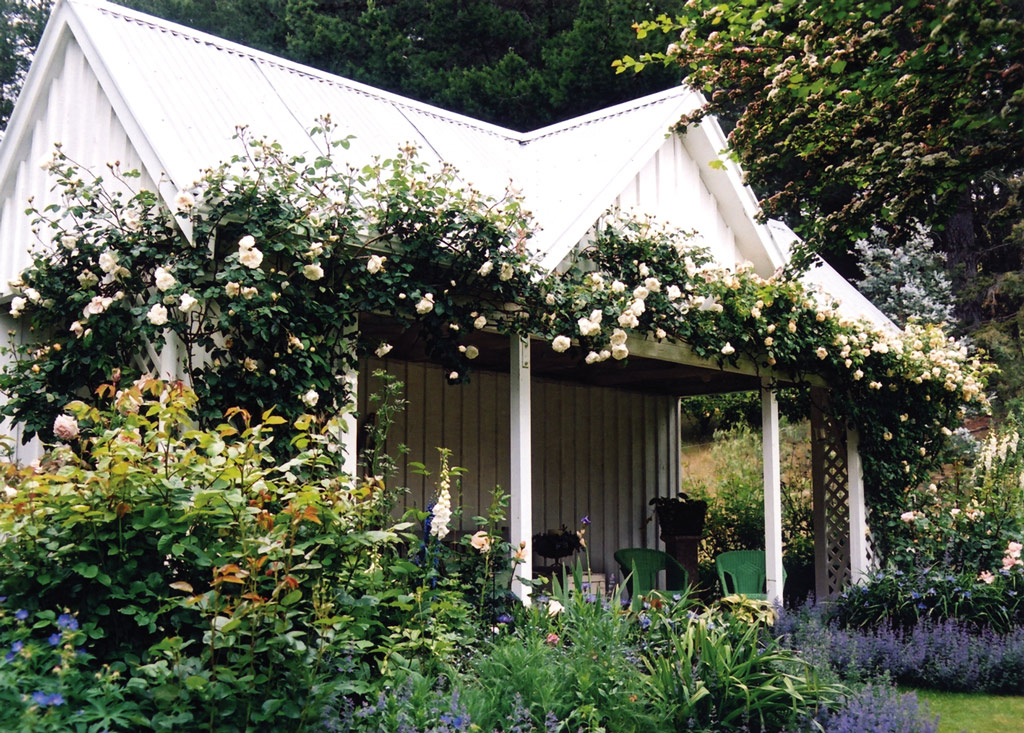 Barewood, Marlborough