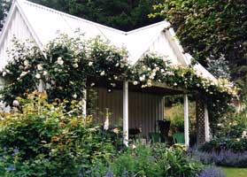 Barewood Garden, New Zealand
