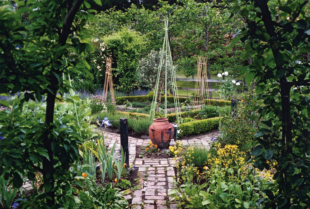 Barewood, New Zealand