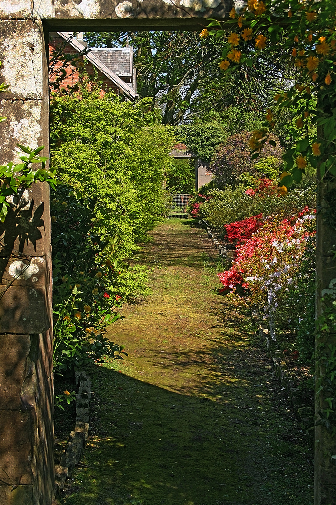 Bargany Gardens tmb2610