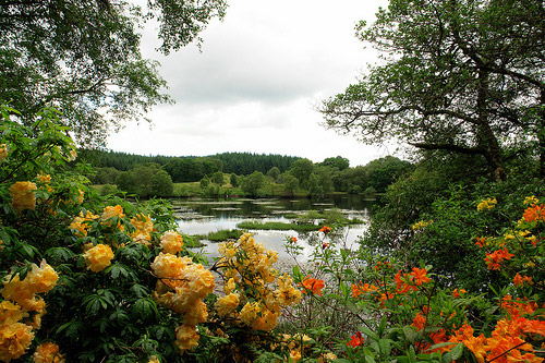 Barguillean Angus Garden, Scotland