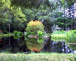 Barguilleangardenscotland