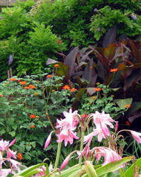 Barrington Court Garden
