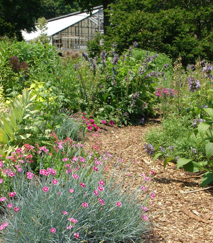 Bartlett Arboretum Gardens, CT