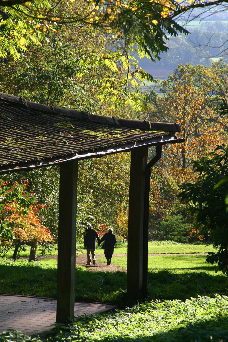 Batsford Arboretum, Gloucestershire