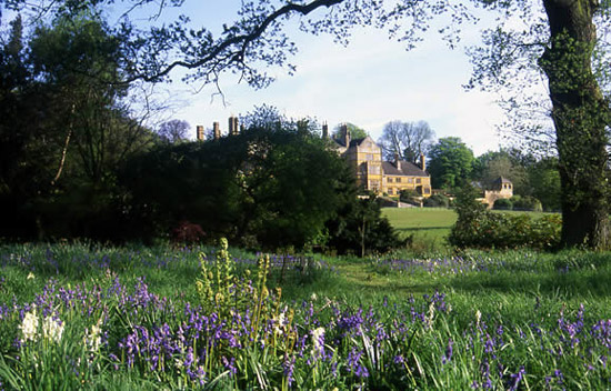 Batsford Arboretum, Spring