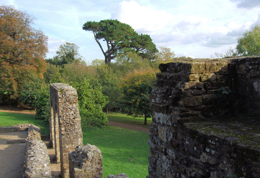 Battle Abbey Jim Linwood