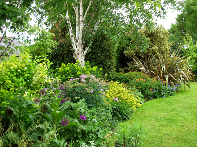 The Bay Garden, June 2008