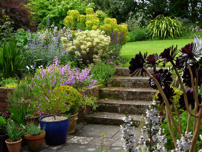 The Bay Garden, June