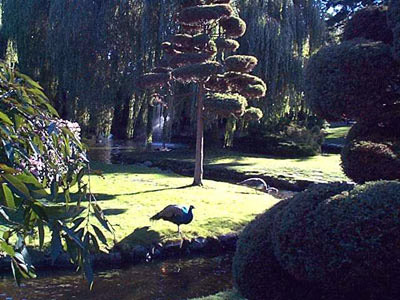 Beacon Hill Park, Canada