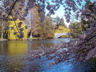 Beacon hill park