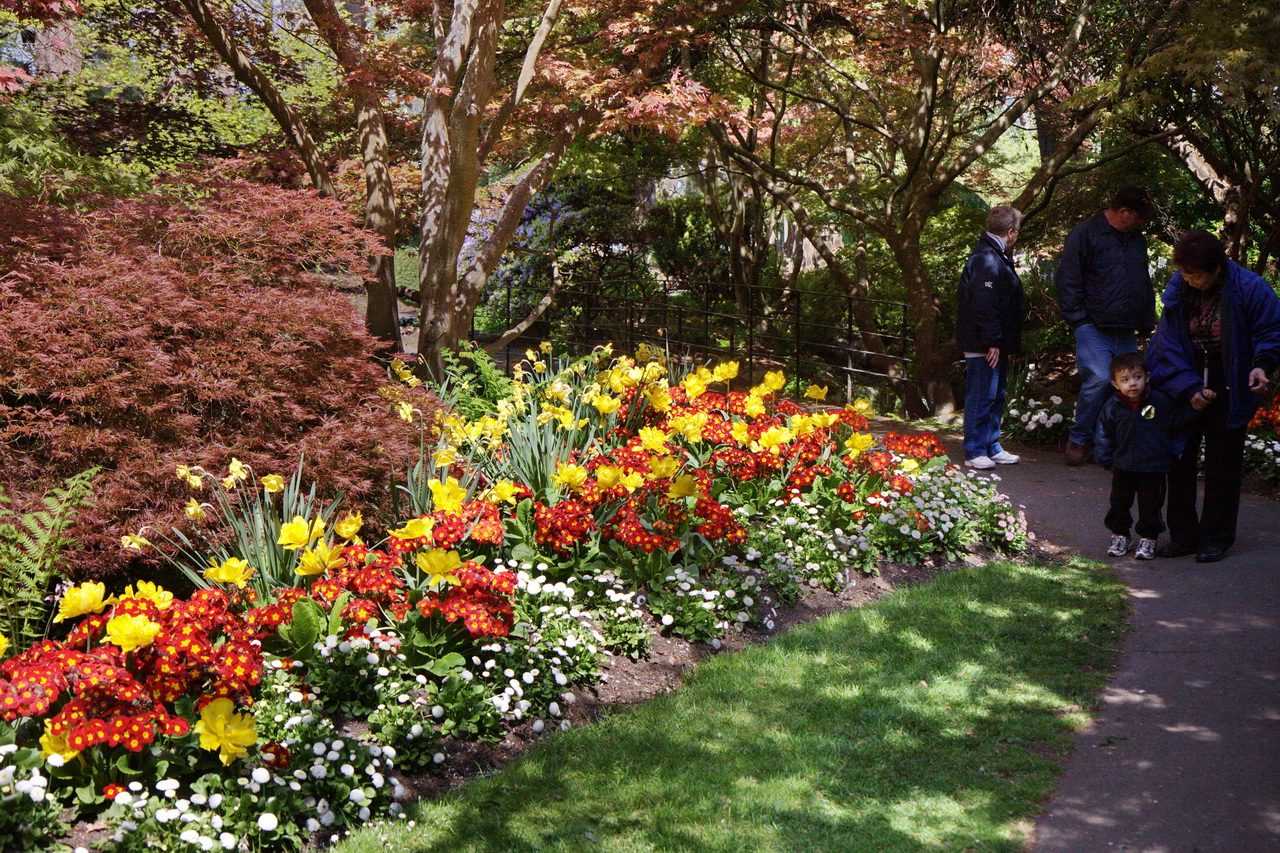Beacon Hill Park Steven Tan