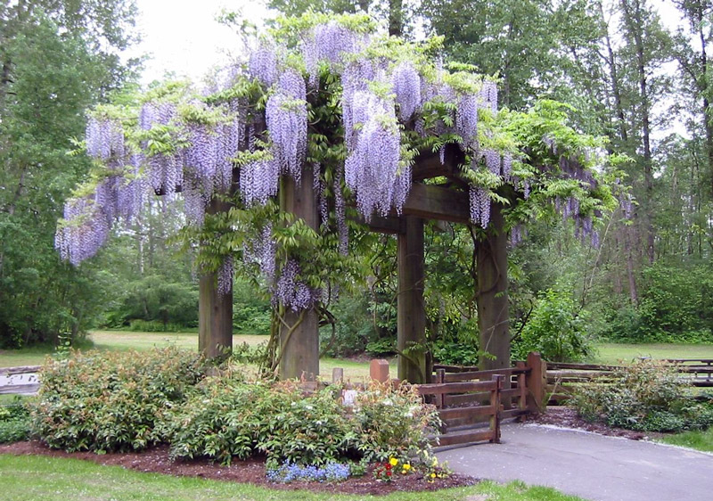 East Gate, Bear Creek Gardens