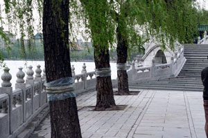 Beihai park beijing