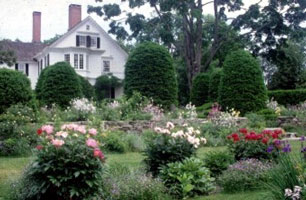 Bellamyferridaygarden