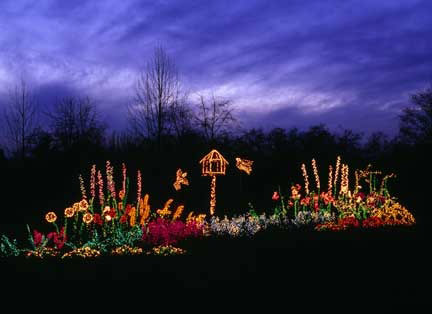 Bellevue Botanical Garden, December