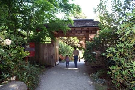 Bellevue Botanical Garden