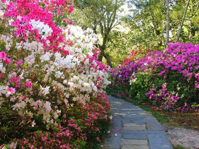 Bellingrath Gardens, Theodore