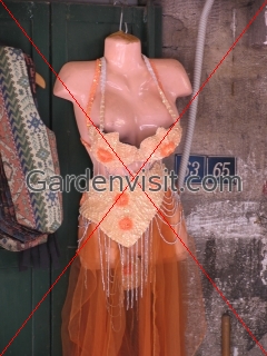 Belly Dancer Turkey