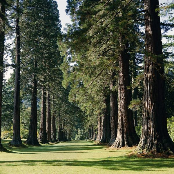 Benmore Botanic Garden, Dunoon