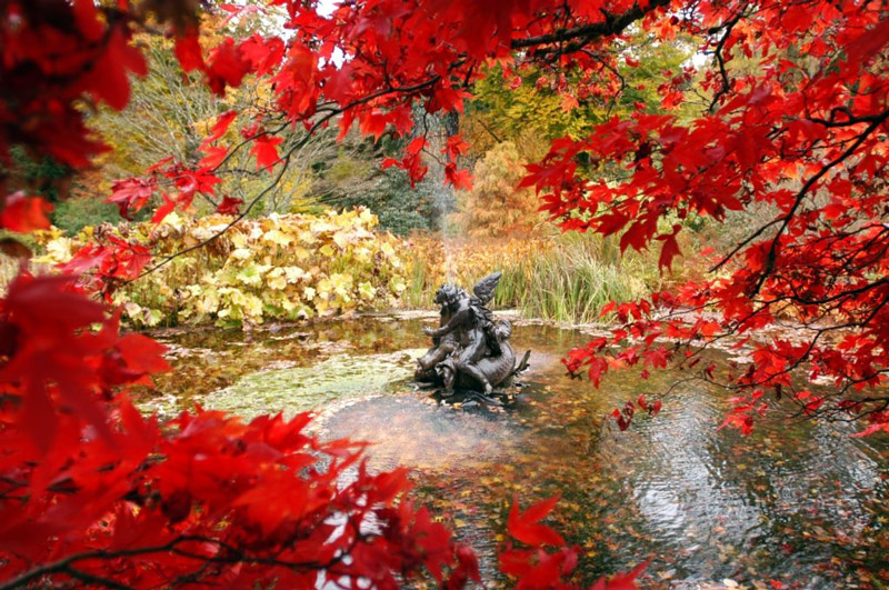 Benmore Botanic Garden, Scotland