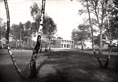 Bentley Wood
