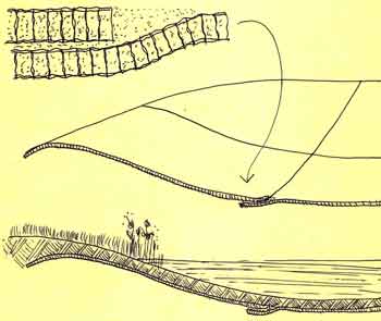 Bentonite