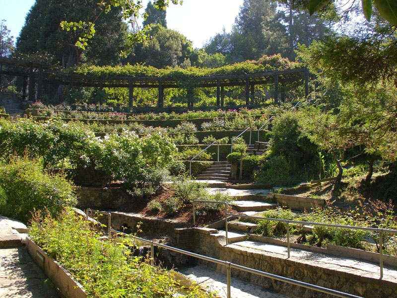 Amphitheater, Berkeley Rose Garden