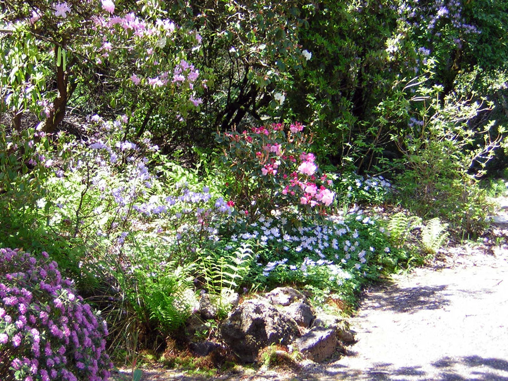 Rock Garden, Berry Botanic Garden
