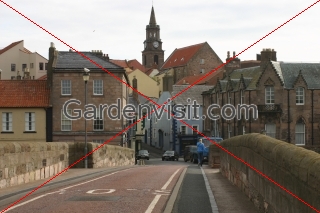 Berwick Old Town