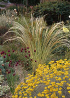 Bethchattogarden