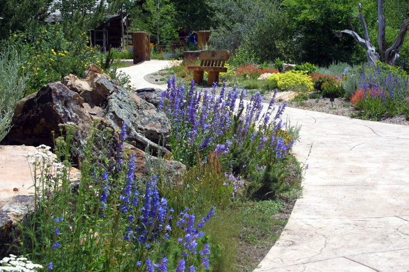 rock garden landscape