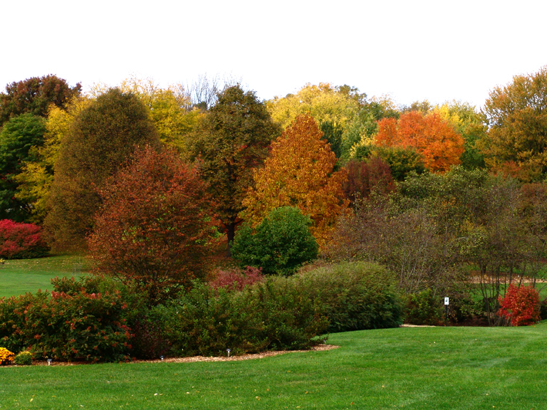 Bickelhaupt Arboretum, Autumn