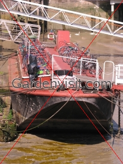 Bicycle Boat