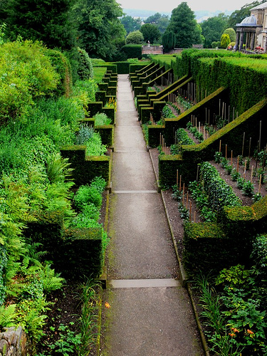 Biddulph Grange Garden, Staffordshire