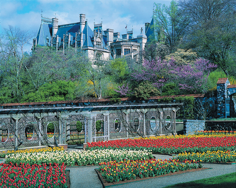 Biltmore Estate Gardens