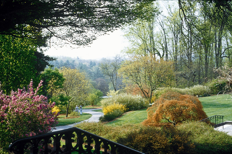 Biltmore shrub garden