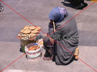 Bird Food Seller Turkey