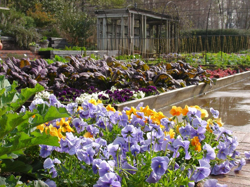 Birmingham Botanical Gardens, Alabama